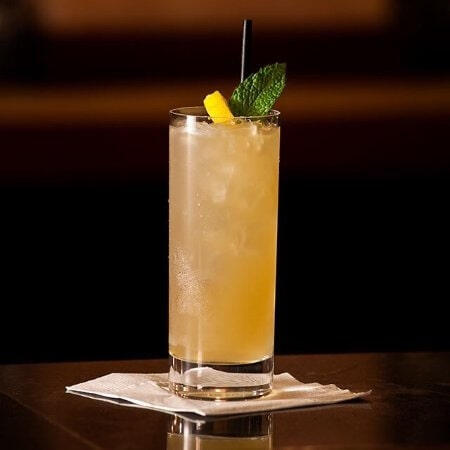 Lion's Lemonade